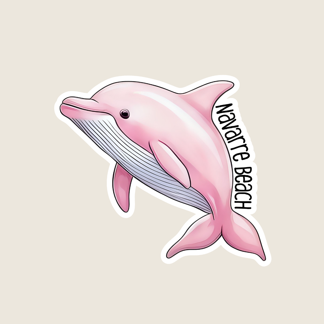 Pink Dolphin (B1045)