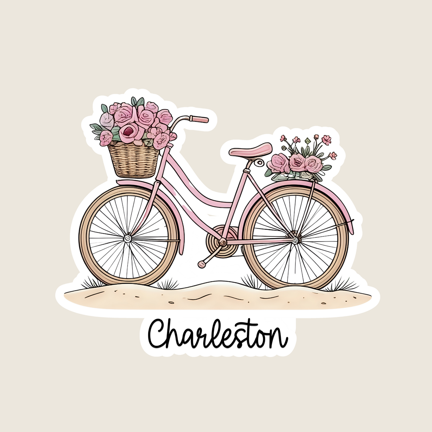 Pink Bicycle (B1056)