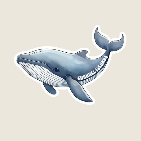 Blue Whale (B1069)