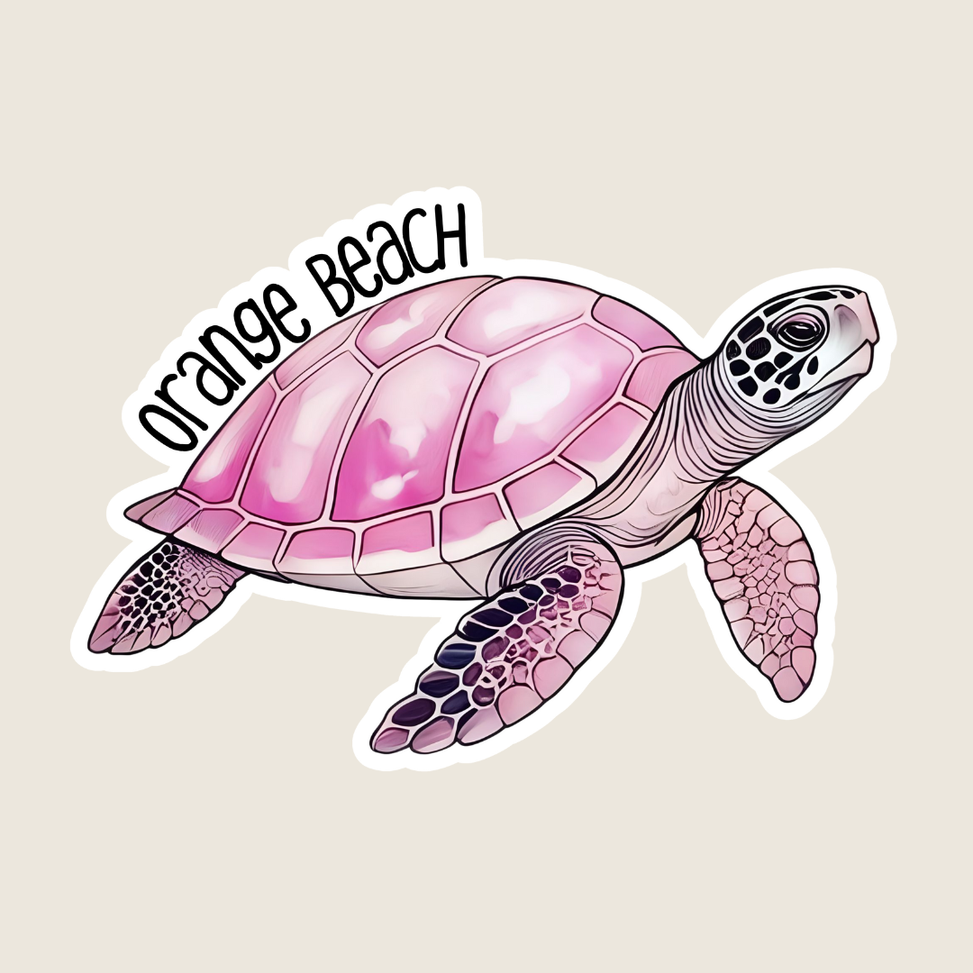 Pink Sea Turtle (B1063)